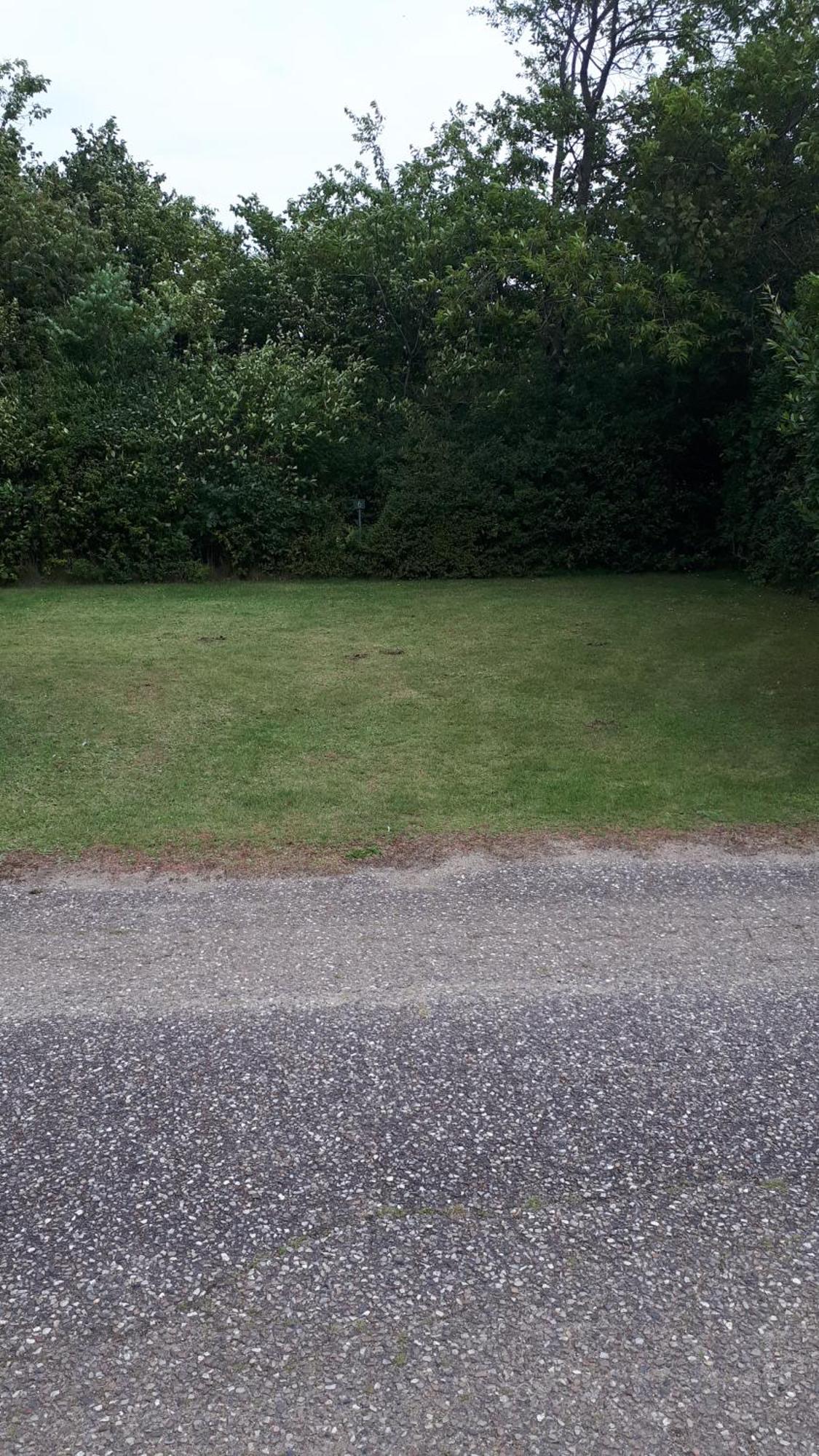 Grindsted Aktiv Camping & Cottages Exterior foto